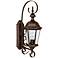 Capital Carriage House 23"H Tortoise Outdoor Wall Light