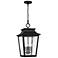 Capital Chandler 21" High Black Outdoor Hanging Light