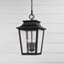1_Capital Chandler 21" High Black Outdoor Hanging Light
