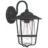 Capital Creekside 13 1/4" High Black Outdoor Wall Light