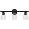 Capital Lighting Dena Black Collection