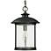 Capital Dylan Glass 18"H Bronze Outdoor Hanging Light