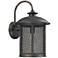 Capital Dylan Mesh 18 1/2" High Bronze Outdoor Wall Light