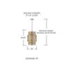 4_Capital Eliana 13" Wide Champagne Brass Pendant Light more views