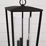 3_Capital Elliott 30" High Black 3-Light Outdoor Hanging Light more views