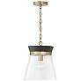 2_Capital Finn 12"W Matte Brass and Black Stain Mini Pendant