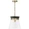 Capital Finn 12"W Matte Brass and Black Stain Mini Pendant