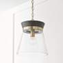 1_Capital Finn 12"W Matte Brass and Black Stain Mini Pendant