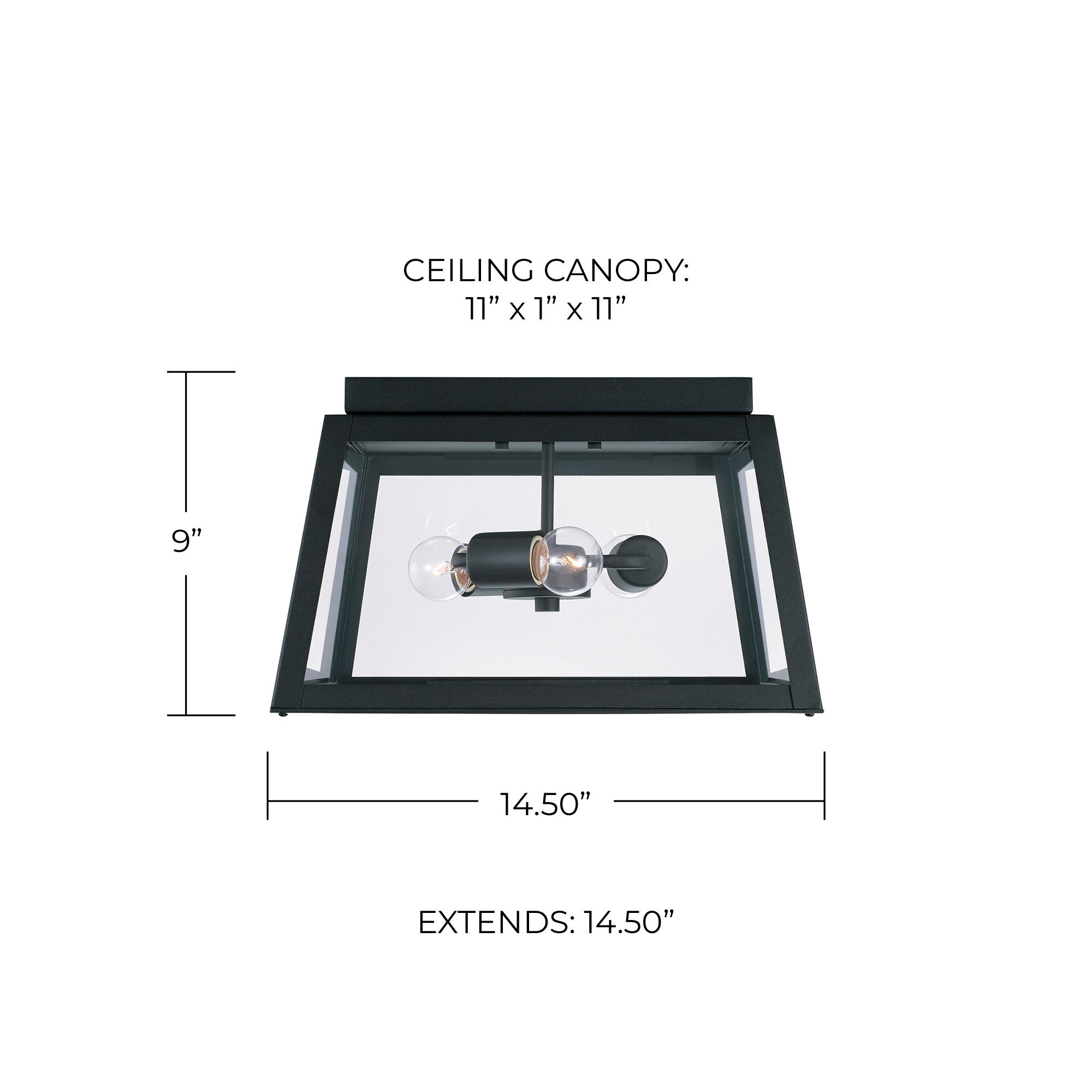 Image 5 Capital Leighton 14 1/2" Wide Black 3-Light Outdoor Ceiling Light more views