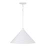 4_Capital Lighting Alden 1 Light Pendant Matte White more views