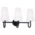 Capital Lighting Averitt 3 Light Vanity 24" Matte Black