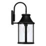 Capital Lighting Bridger 1 Light Outdoor Wall Lantern 7.5" Black