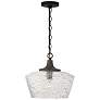 Capital Lighting Clive 1 Light Pendant Carbon Grey and Black Iron