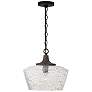 2_Capital Lighting Clive 14" Carbon Gray Black Iron Glass Pendant Light