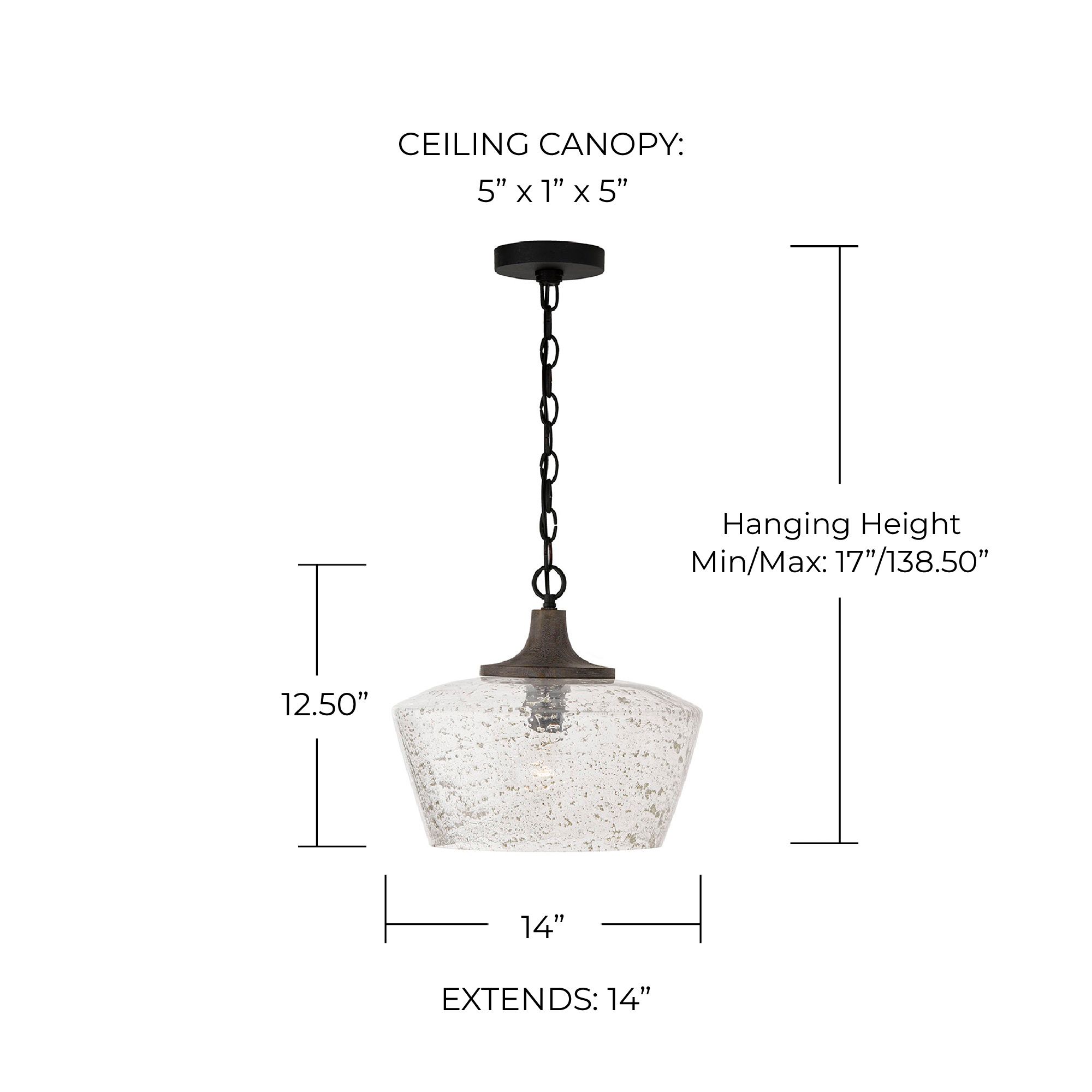 Image 6 Capital Lighting Clive 14" Carbon Gray Black Iron Glass Pendant Light more views