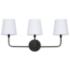 Capital Lighting Dawson 25 1/2" Wide 3-Light Vanity Matte Black