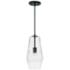 Capital Lighting Dena 1 Light Pendant Matte Black