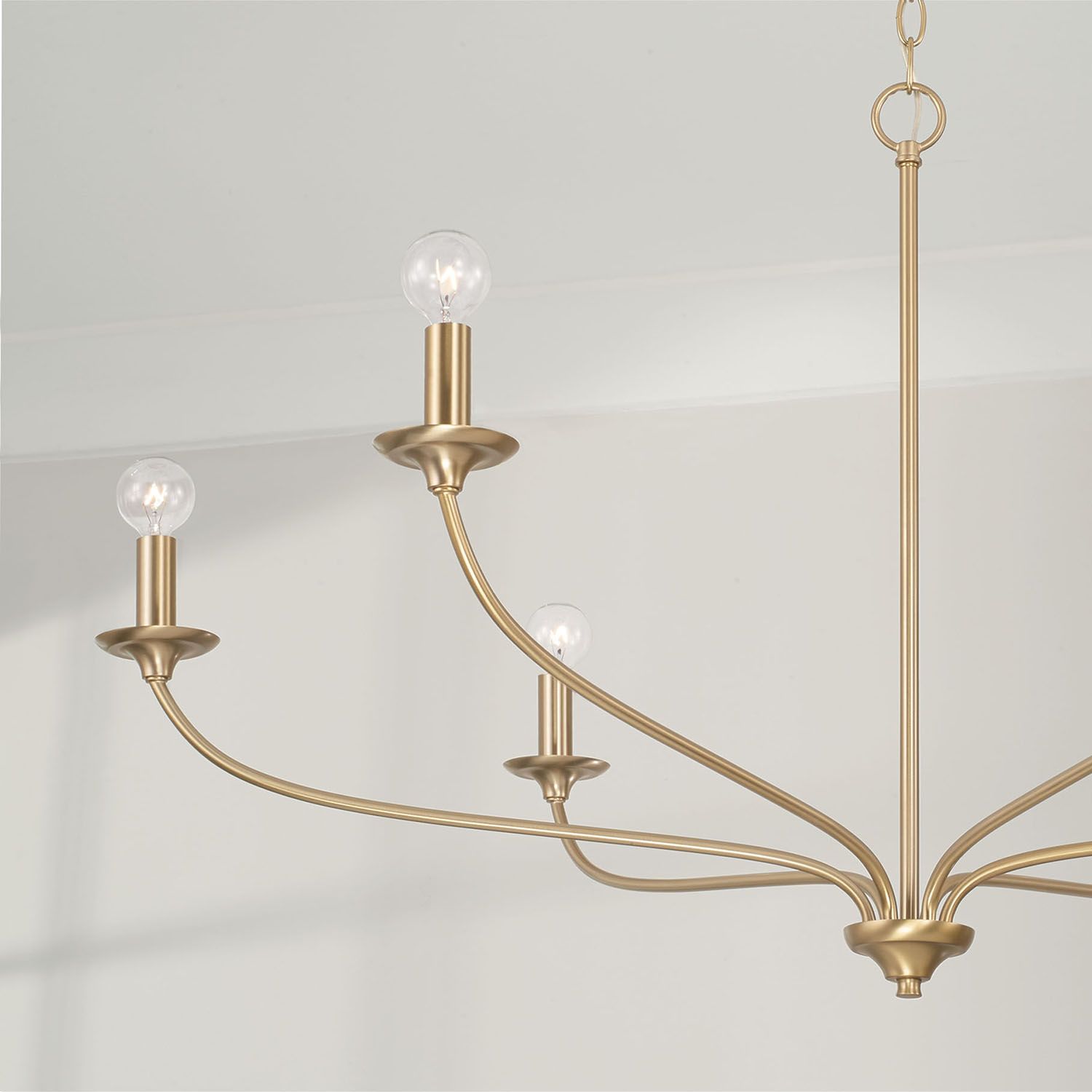 Image 3 Capital Lighting Dolan 6 Light Chandelier 39.75" Matte Brass more views