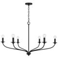Capital Lighting Dolan Black Collection