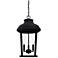 Capital Lighting Dunbar 3 Light Outdoor Hanging Lantern Black