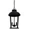 Capital Lighting Dunbar 3 Light Outdoor Hanging Lantern Black