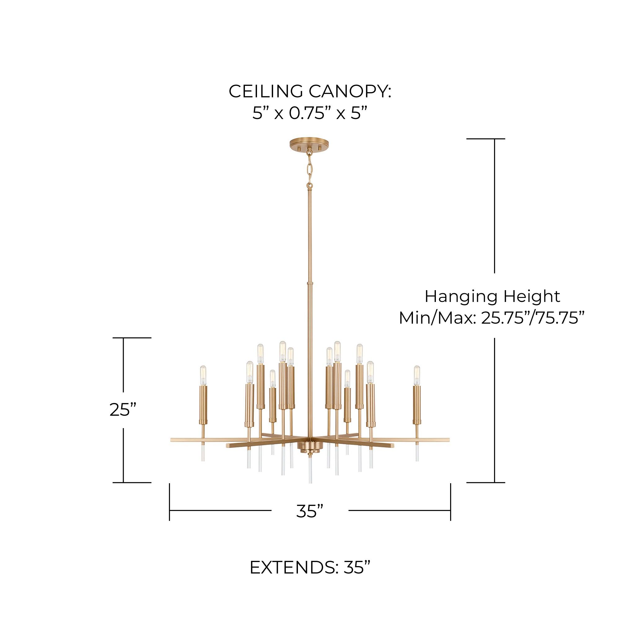 Capital Lighting Elora 12 Light Chandelier Matte Brass