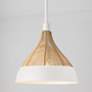 Thumbnail1 of Capital Lighting Kali 1 Light Pendant 14" Matte White