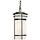 Capital Lighting Lakeshore 1 Light Outdoor Hanging Lantern Old Bronze