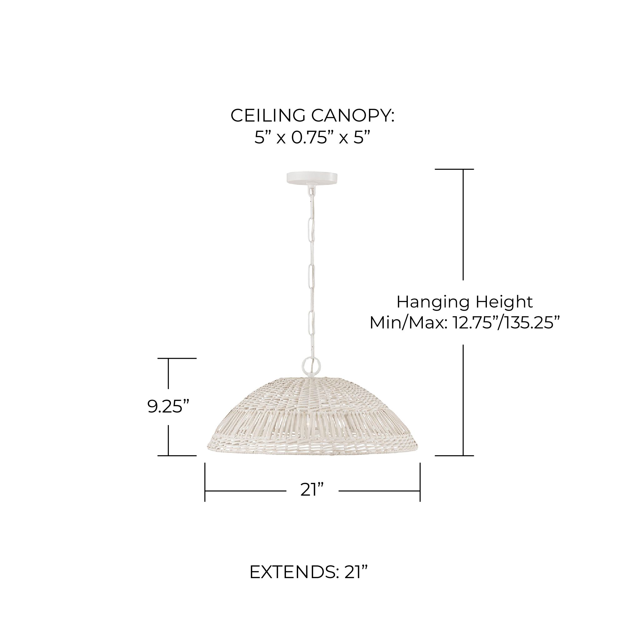 Image 5 Capital Lighting Naomi 21" Wide Chalk White Rattan Pendant Light more views