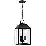 2_Capital Lighting Nelson 3 Light Outdoor Hanging Lantern 9.5" Black