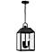 Capital Lighting Nelson 3 Light Outdoor Hanging Lantern 9.5" Black
