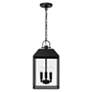 4_Capital Lighting Nelson 3 Light Outdoor Hanging Lantern 9.5" Black more views