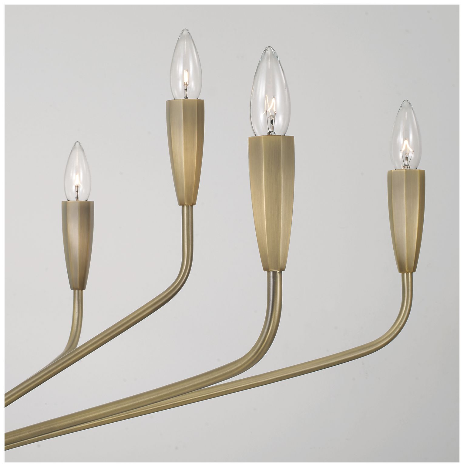 Image 3 Capital Lighting Palmer 10 Light Chandelier 41" Antiqued Brass more views