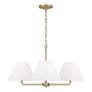 4_Capital Lighting Parson 4 Light Chandelier 27" Matte Brass more views