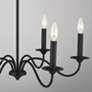 3_Capital Lighting Vincent 26" Wide 6-Light Black Iron Chandelier more views