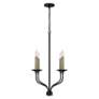 5_Capital Lighting Wilder 4 Light Chandelier 21.5" Matte Black more views