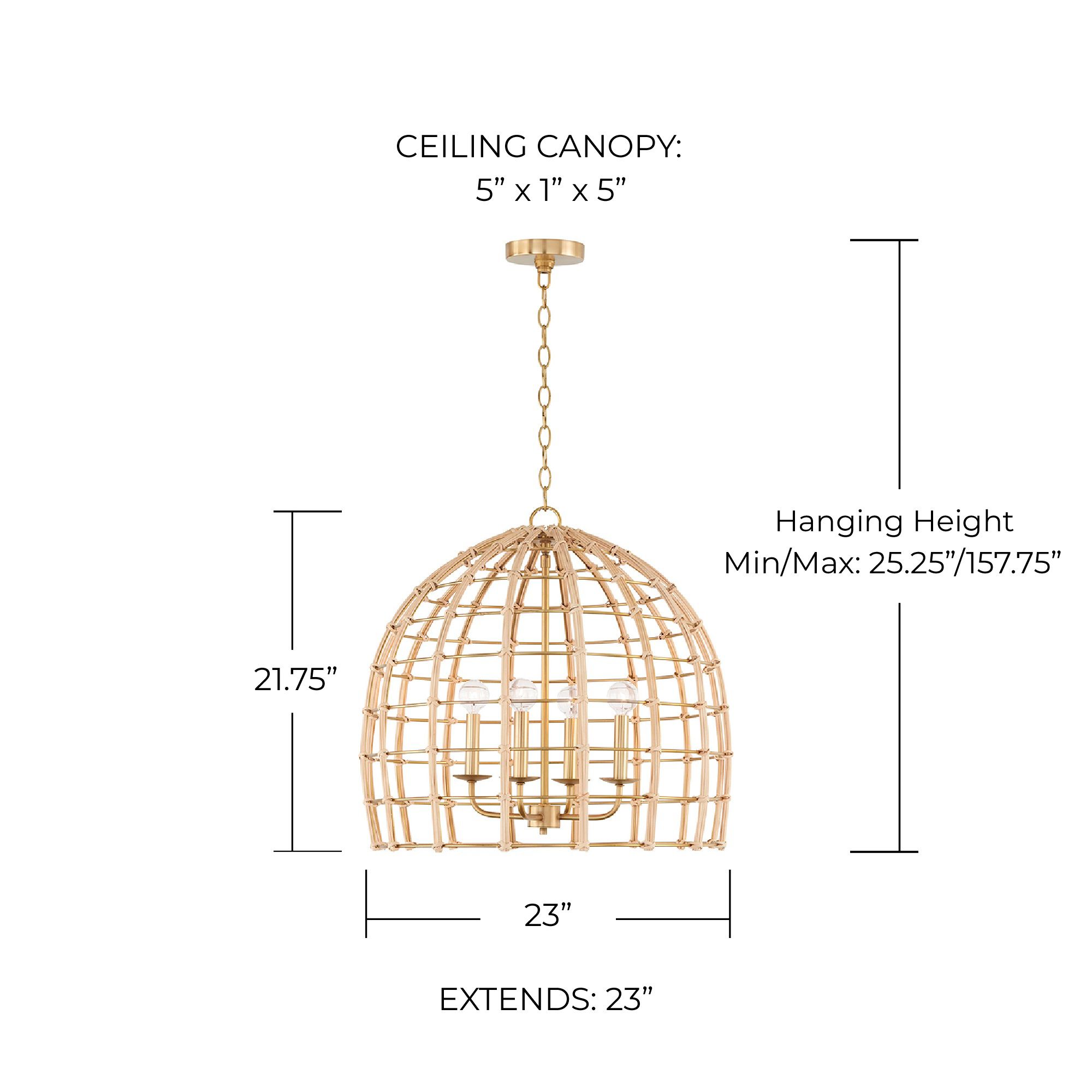 Image 7 Capital Lighting Wren 4 Light Pendant 23" Matte Brass more views