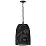 2_Capital Naomi 13 3/4" Wide Matte Black Pendant Light
