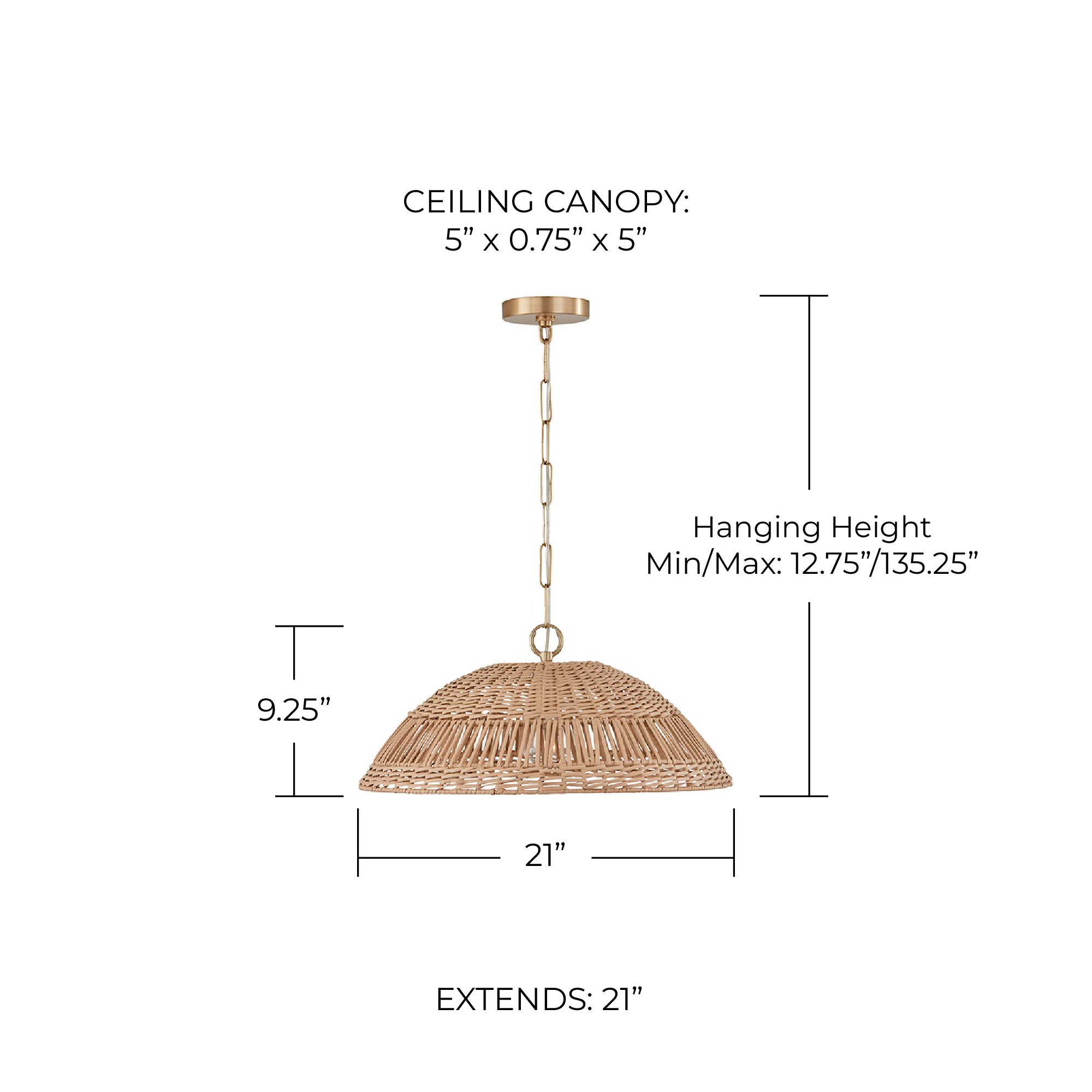 Image 5 Capital Naomi 21" Wide Brass Natural Rattan Dome Pendant Light more views