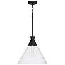 2_Capital Paloma 15" Wide Textured Black Pendant Light