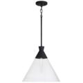 Capital Lighting Paloma Black Collection