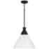 Capital Paloma 15" Wide Textured Black Pendant Light