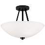 2_Capital Steward 15 1/2" Wide Matte Black Ceiling Light