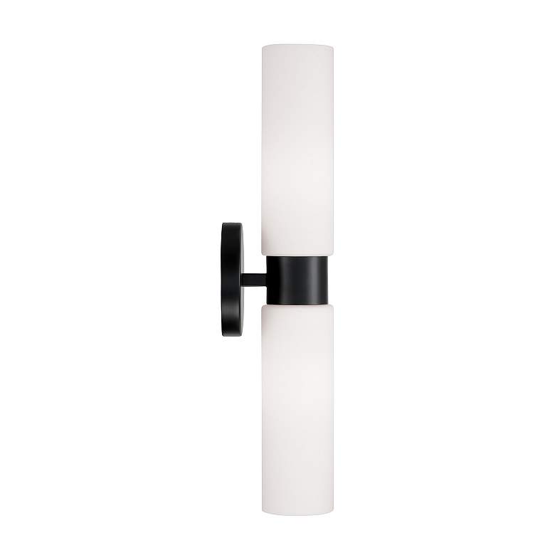 Image 6 Capital Theo 20 1/2" High Matte Black 2-Light Wall Sconce more views
