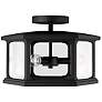 2_Capital Walton 16" Wide Black 3-Light Outdoor Ceiling Light