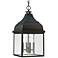 Capital Westridge 22 1/4"H Old Bronze Outdoor Hanging Light