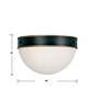 5_Capsule 12" Wide Matte Black and Gold Outdoor Ceiling Light more views