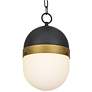 Capsule 13 1/4" High Matte Black and Gold Outdoor Hanging Light