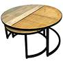 2_Cardinal Set of 2 Nesting Coffee Tables, Natural/Black with Cane more views