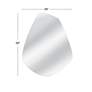 7_Carlton 40" x 50" Silver Wall Mirror more views
